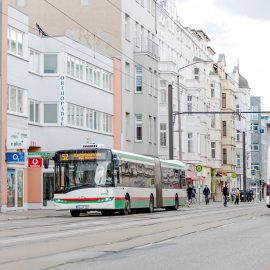 Busse auf der Großen Diesdorfer Straße