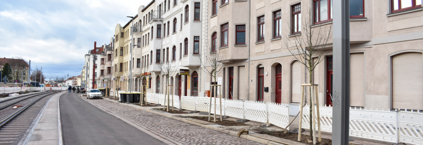 Baumpflanzungen in der Raiffeisenstraße