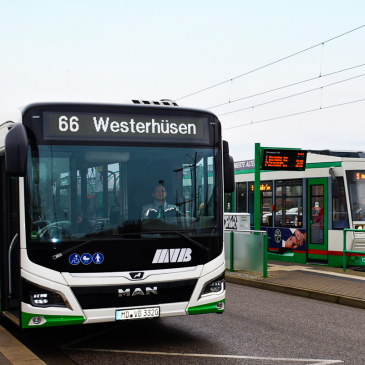 Buslinie 66