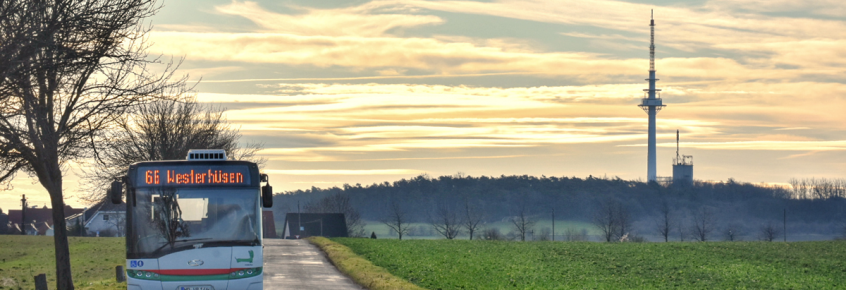 Die Buslinie 66 auf einer Umleitungsstrecke. (Foto: Christian Schulz)