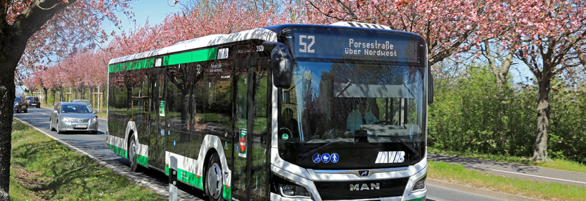 Buslinie 52 im Holzweg