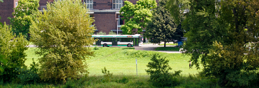 Buslinie 59 im Stadtpark (Foto: Stefan Deutsch)