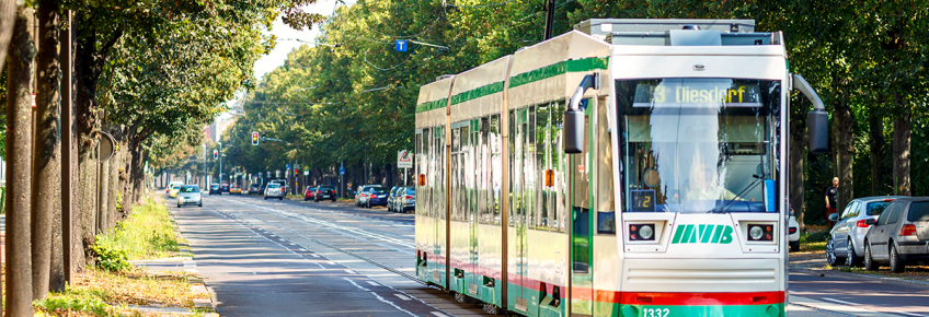 Straßenbahn der Linie 3 auf der Großen Diesdorfer Straße (Foto: Stefan Deutsch)