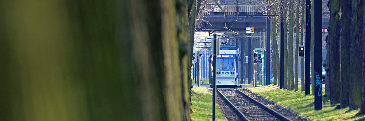 Straßenbahn im Herrenkrug (Foto: Peter Gercke)