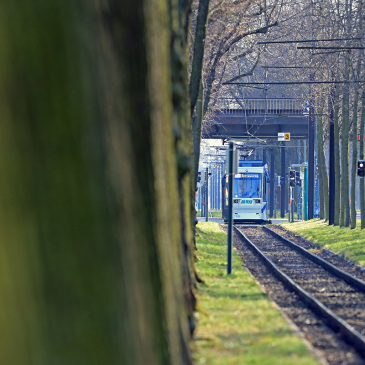 Straßenbahn im Herrenkrug (Foto: Peter Gercke)