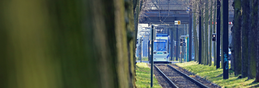 Straßenbahn im Herrenkrug (Foto: Peter Gercke)