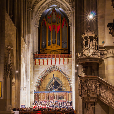 Orgel im Magdeburger Dom (Foto: Gotthard Demmel)