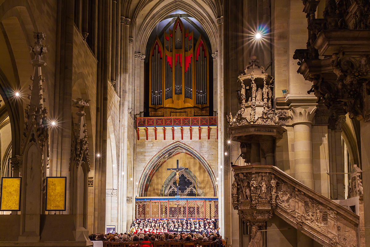 Orgel im Magdeburger Dom (Foto: Gotthard Demmel)