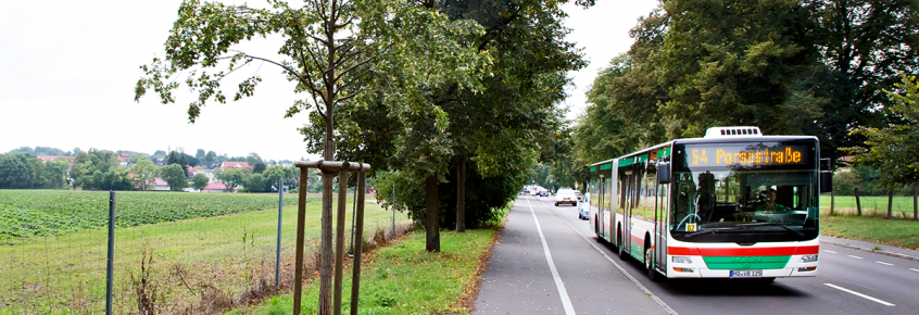 Buslinie 54 (Foto: Stefan Deutsch)