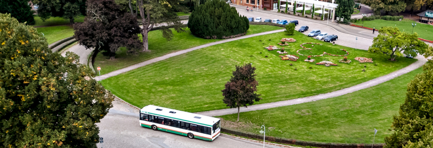 Bus im Herrenkrug (Foto: Stefan Deutsch)