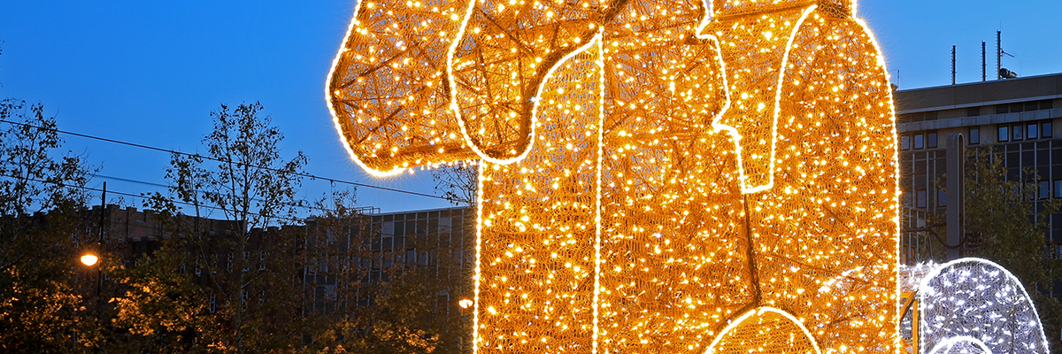 Magdeburger Lichterwelten (Foto: Peter Gercke)