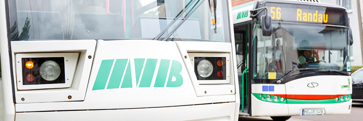 Straßenbahn im Vordergrund, im Hintergrund sieht man den Bus der Linie 56 Richtung Randau.