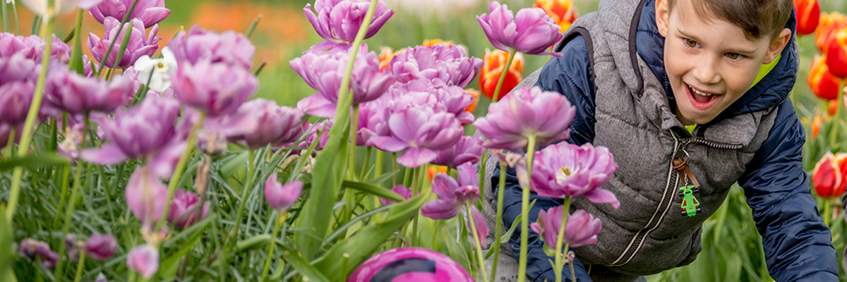 Ein Kind findet strahlend ein großes pinkes Ei in einer blühenden Tulpenwiese im Elbauenpark (Foto Andreas Lander)