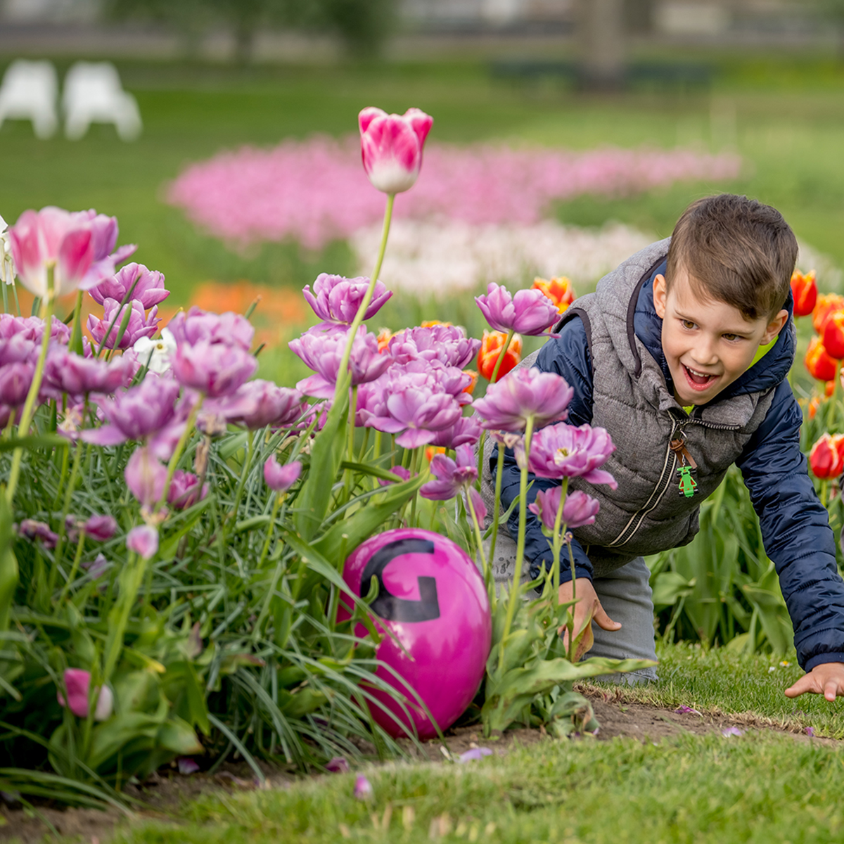Ein Kind findet strahlend ein großes pinkes Ei in einer blühenden Tulpenwiese im Elbauenpark (Foto Andreas Lander)
