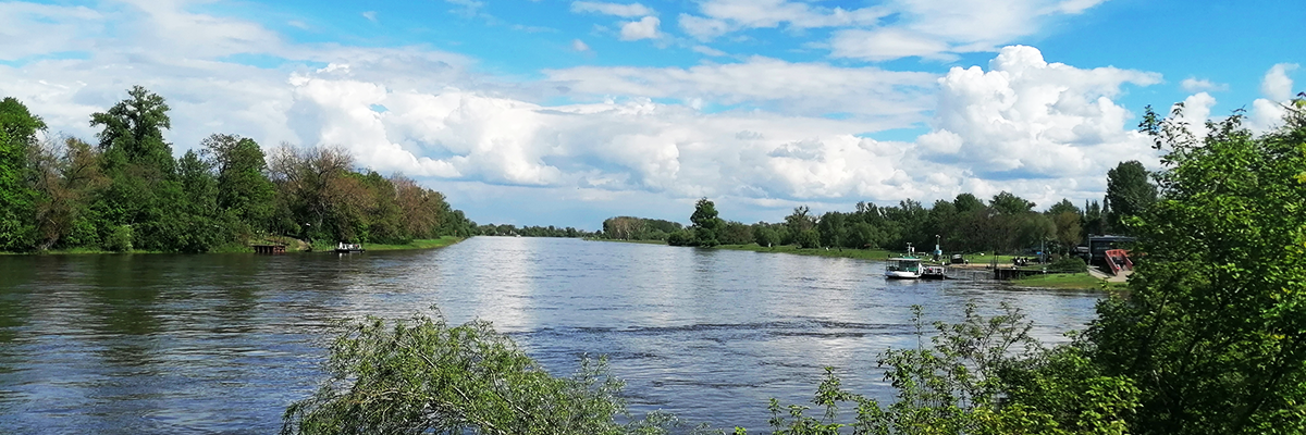 Fähre Magdeburg/Buckau