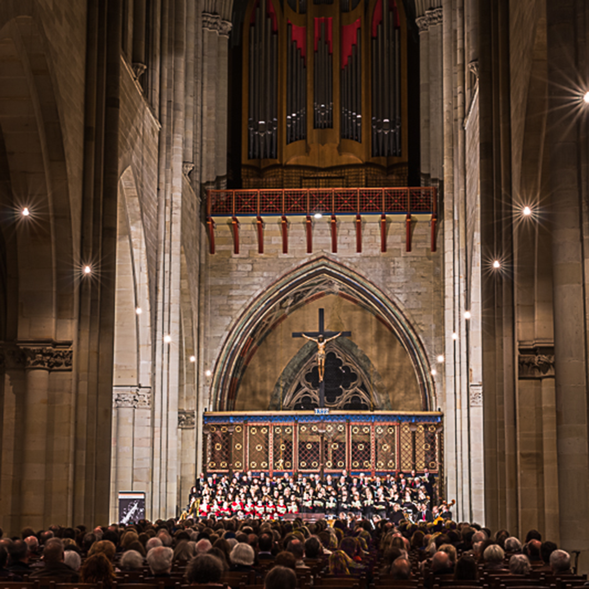 Magdeburger Dom (Foto: Gotthard Demmel)