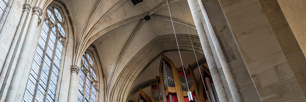 Magdeburger Dom (Foto: Max Fuchs)