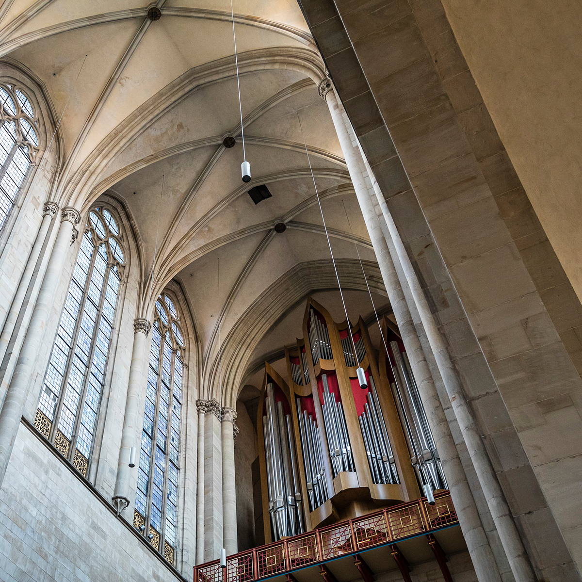 Magdeburger Dom (Foto: Max Fuchs)