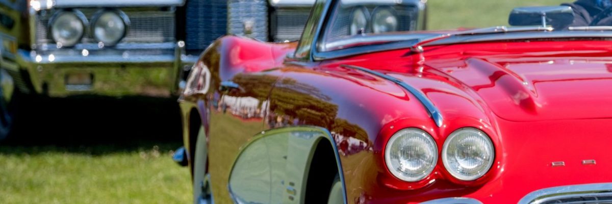 Oldtimertag im Elbauenpark Magdeburg (Foto: Andreas Lander)