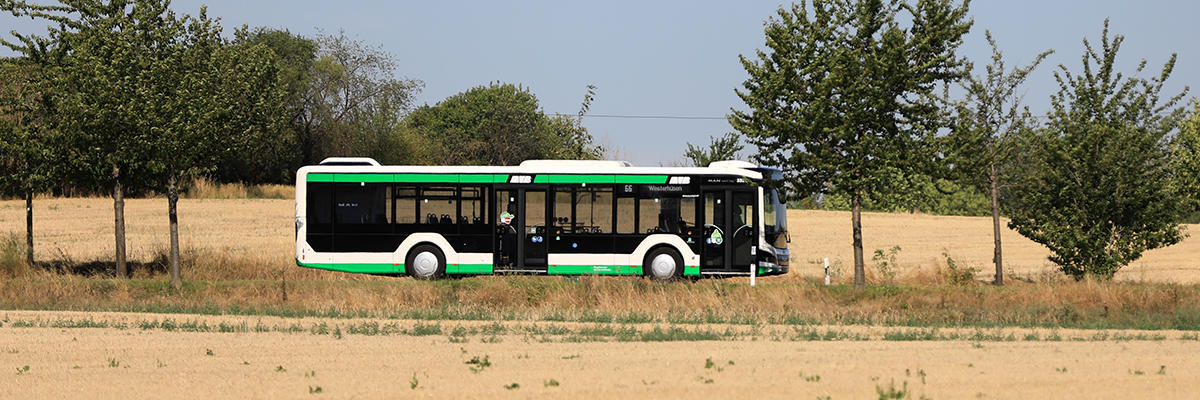 Buslinie 66 (Foto: Peter Gercke)