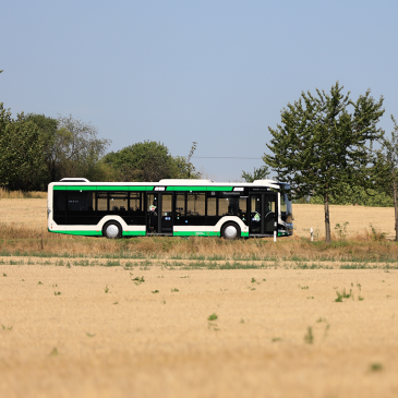 Buslinie 66 (Foto: Peter Gercke)
