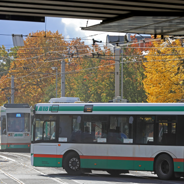 Bus- und Straßenbahn auf der Lübecker Straße (Foto: Peter Gercke)