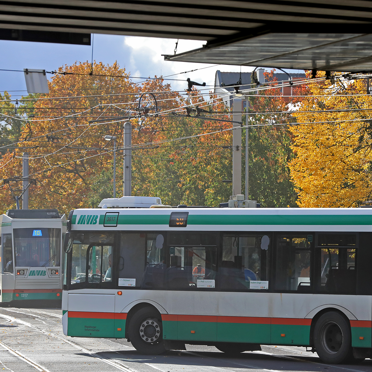 Bus- und Straßenbahn auf der Lübecker Straße (Foto: Peter Gercke)