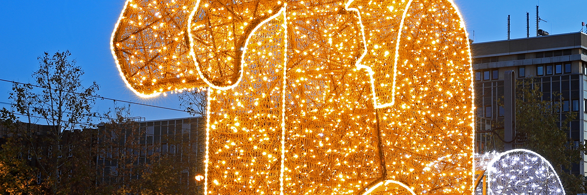 Lichterwelt in Magdeburg (Foto: Peter Gercke)