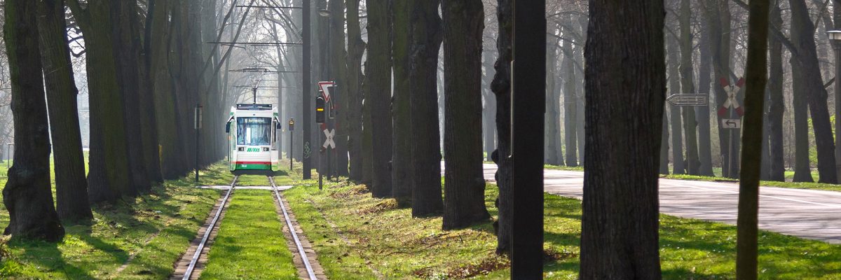 Straßenbahn im Herrenkrug