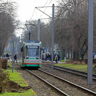 Linie 9 in Richtung Neustädter See (Foto: Peter Gercke)