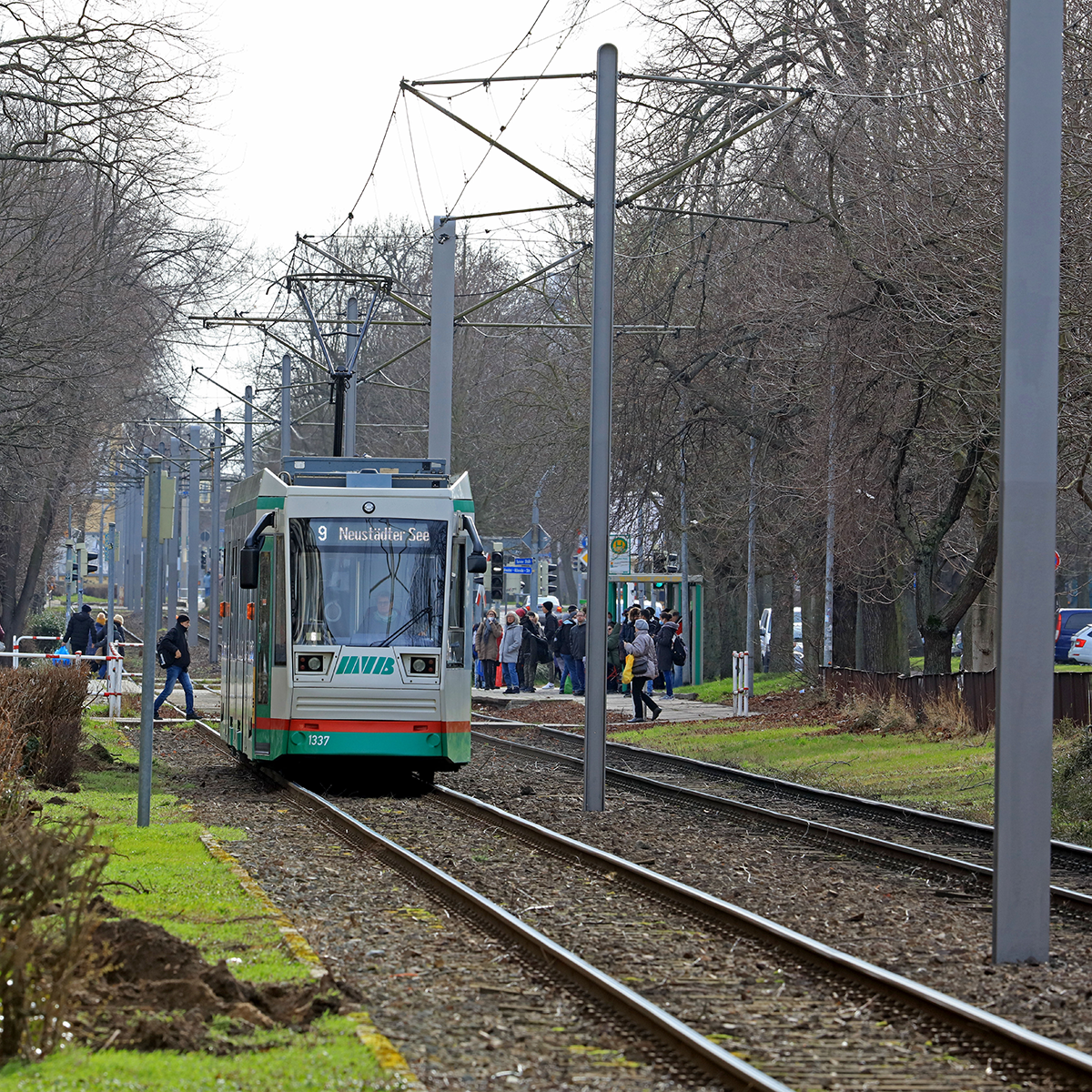 Linie 9 in Richtung Neustädter See (Foto: Peter Gercke)