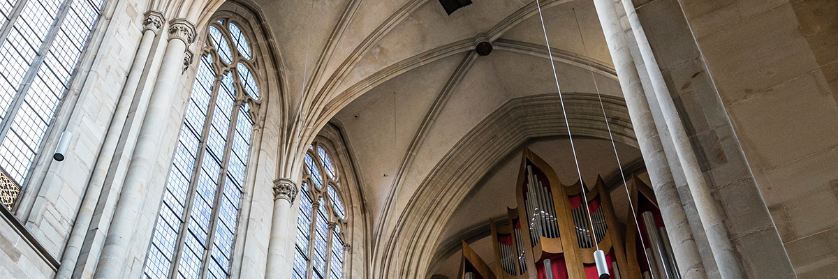 Magdeburger Dom (Foto: Max Fuchs)