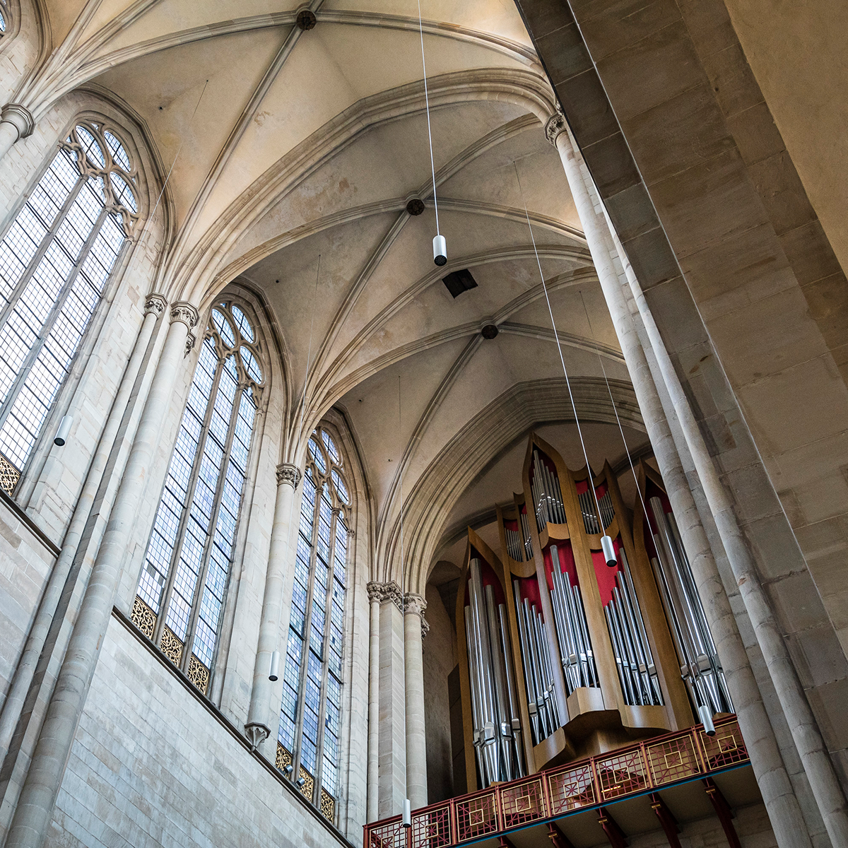 Magdeburger Dom (Foto: Max Fuchs)
