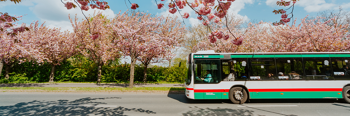 Buslinien 52 auf dem Holzweg (Foto: Stefan Deutsch)