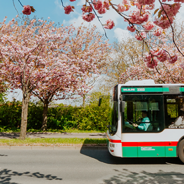 Buslinien 52 auf dem Holzweg (Foto: Stefan Deutsch)