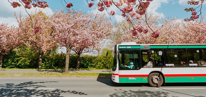Buslinien 52 auf dem Holzweg (Foto: Stefan Deutsch)