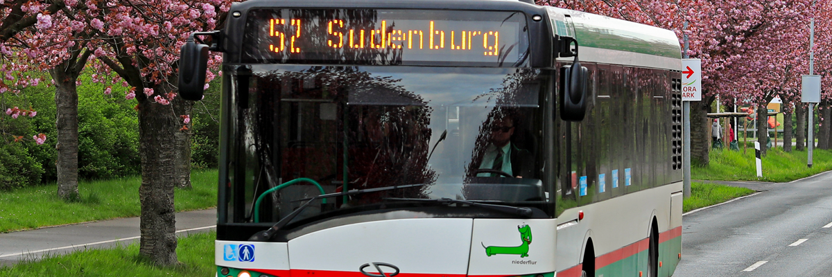 Buslinien 52 auf dem Holzweg (Foto: Peter Gercke)