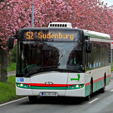 Buslinien 52 auf dem Holzweg (Foto: Peter Gercke)