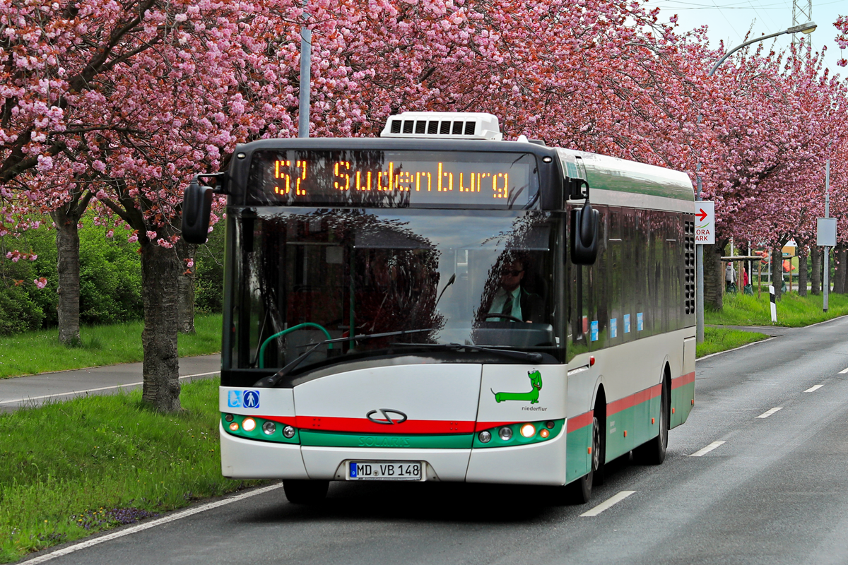 Buslinien 52 auf dem Holzweg (Foto: Peter Gercke)