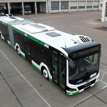 Neuer MAN-Gelenkbus (Foto: Peter Gercke)