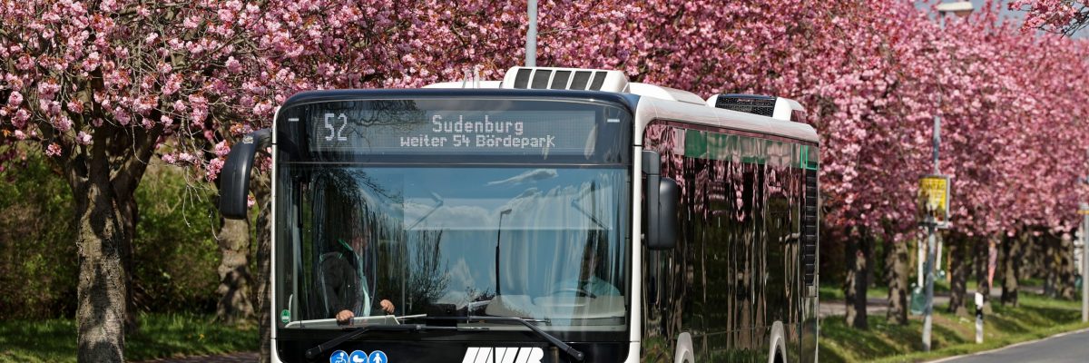 Buslinie 52 auf dem Holzweg (Foto: Peter Gercke)