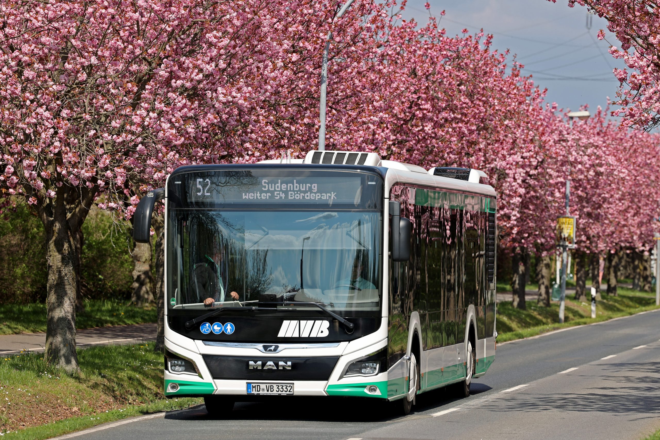 Buslinie 52 auf dem Holzweg (Foto: Peter Gercke)