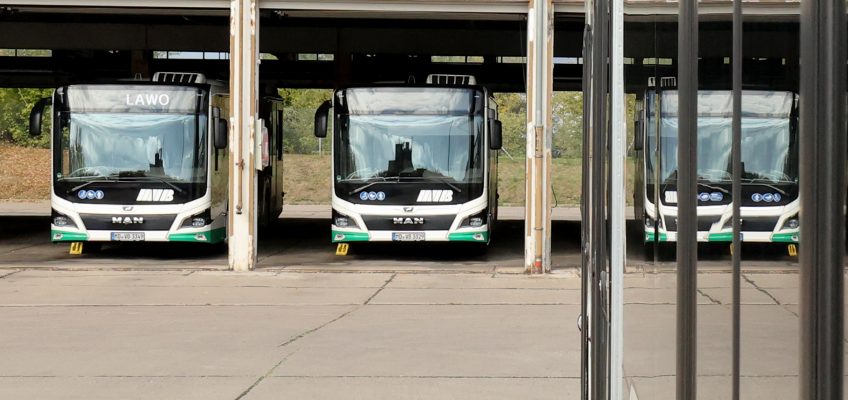 Neue MAN Busse auf dem Betriebshof in Sudenburg.