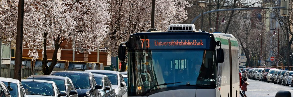 Bus der Linie 73 Richtung Universitätsbibliothek auf der blühenden Friesenstraße in STadtfeld.