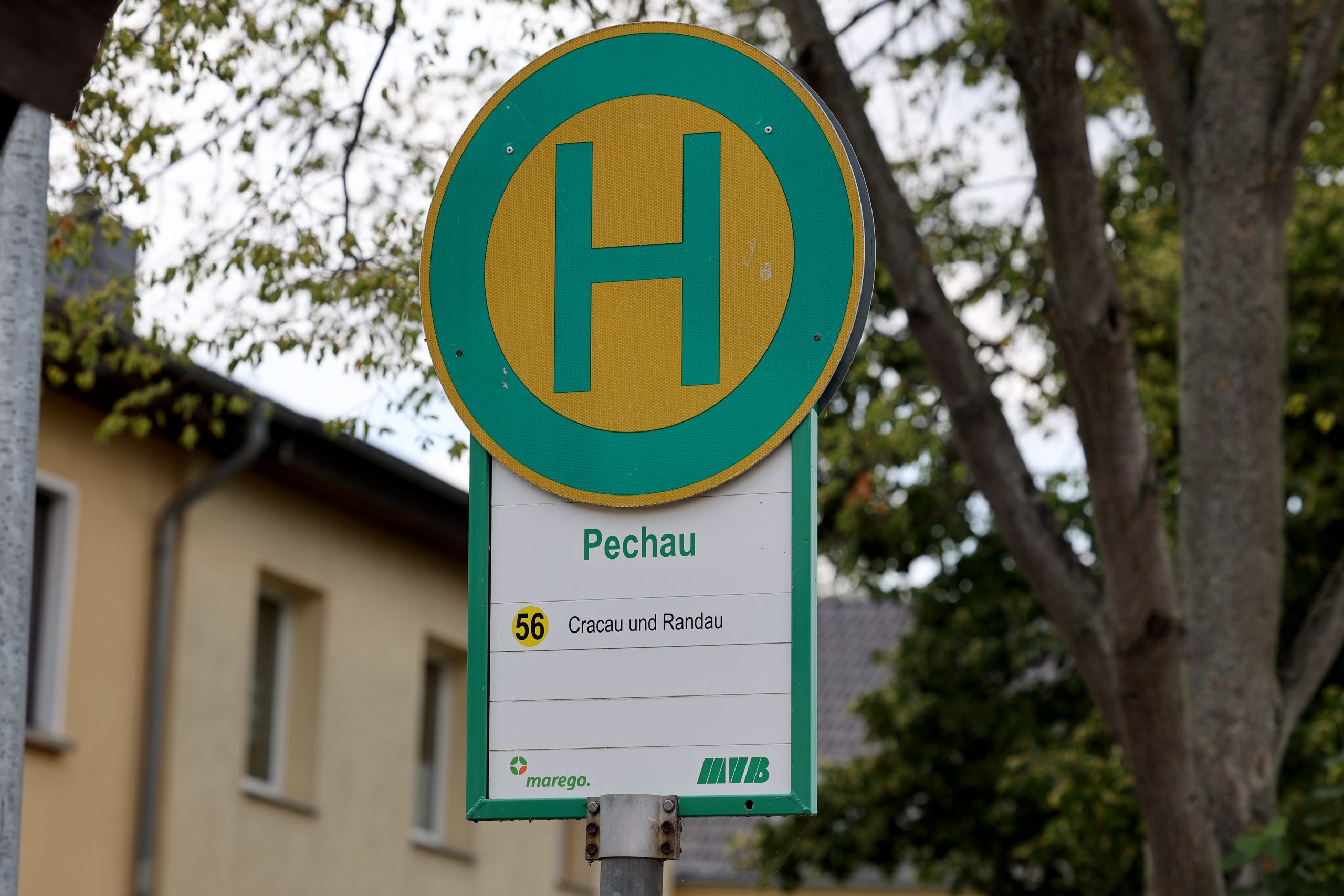 Haltestellenschild Pechau