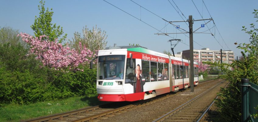 Straßenbahn der Linie 4 Richtung Cracau im Straßenverkehr.