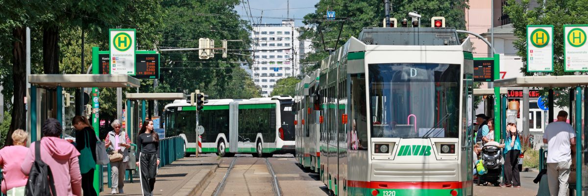 Straßenbahn und Bus an den vollen Haltestellen Kastanienstraße in Magdeburg Nord.