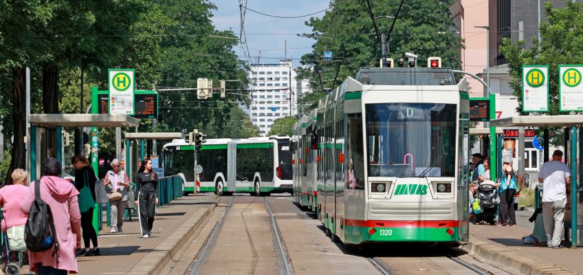 Straßenbahn und Bus an den vollen Haltestellen Kastanienstraße in Magdeburg Nord.