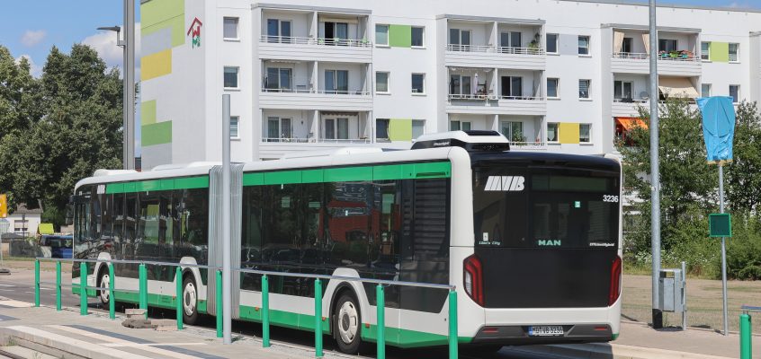 Bus der Magdeburger Verkehrsbetriebe in der Kritzmannstraße