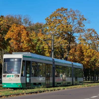 Straßenbahn der Linie 6, die durch den herbstlich verfärbten Herrenkrug Park fährt